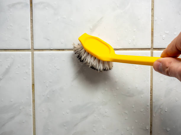 Best Water Damage Restoration  in Mcdonough, GA