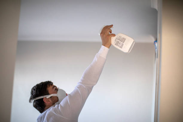 Best Toxic Mold Removal  in Mcdonough, GA