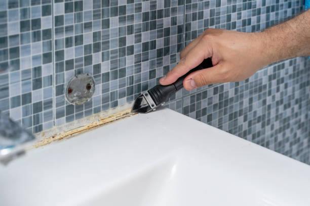 Best Professional Mold Removal  in Mcdonough, GA