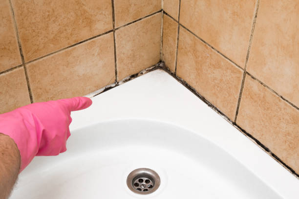 Best Mold Testing  in Mcdonough, GA